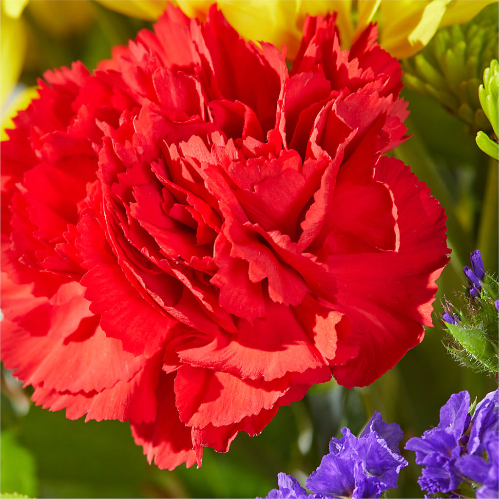 Brighter Days Bouquet –  Deux Gars Des Fleurs, Sorel PQ
