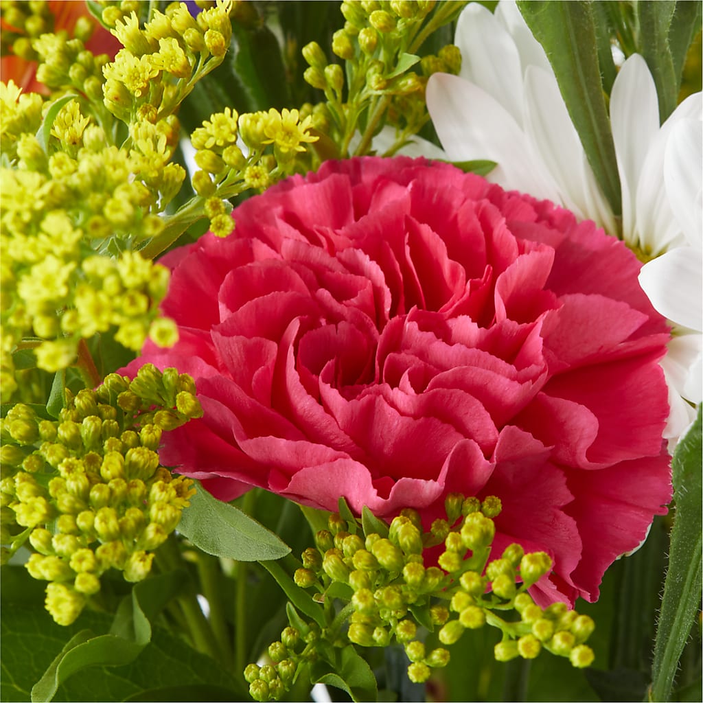 Oopsie Daisy Bouquet –  Deux Gars Des Fleurs, Sorel PQ