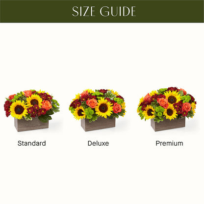Happy Harvest Garden –  Deux Gars Des Fleurs, Sorel PQ