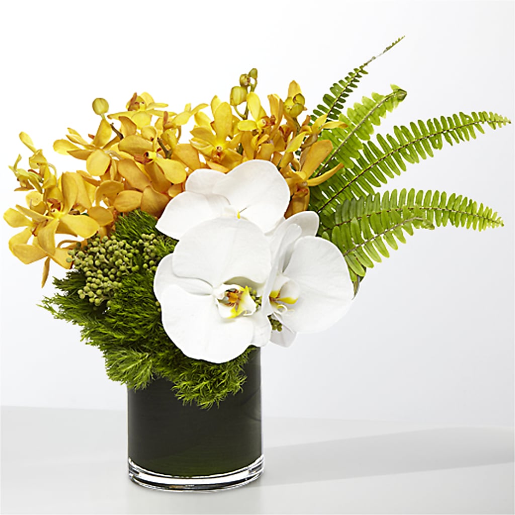The Tropics –  Deux Gars Des Fleurs, Sorel PQ