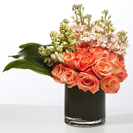The Moment –  Deux Gars Des Fleurs, Sorel PQ