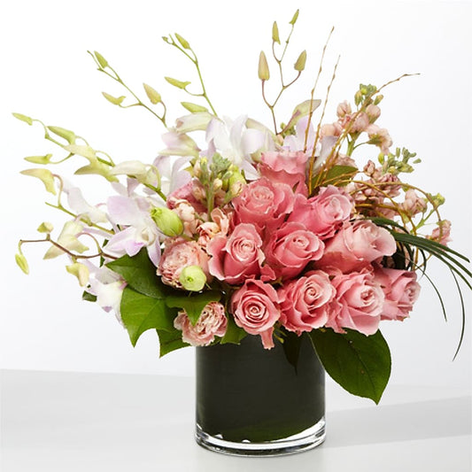 The Muse –  Deux Gars Des Fleurs, Sorel PQ