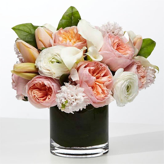 The Destiny –  Deux Gars Des Fleurs, Sorel PQ