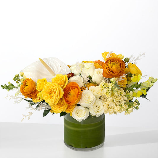 The Optimist –  Deux Gars Des Fleurs, Sorel PQ