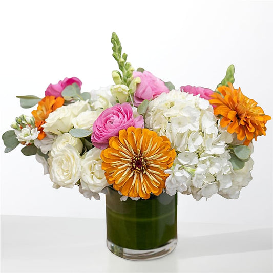 The Meet Cute –  Deux Gars Des Fleurs, Sorel PQ