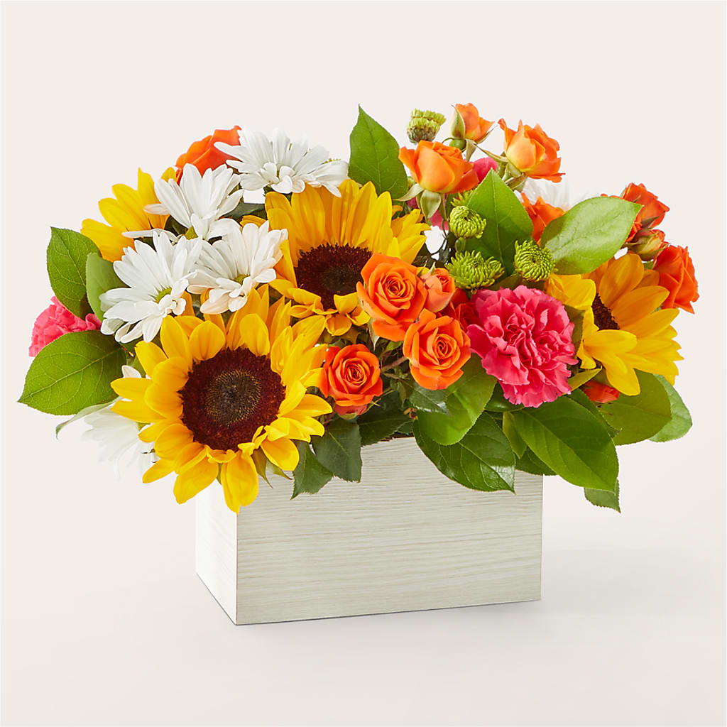 Sun-drenched Blooms Box Bouquet –  Deux Gars Des Fleurs, Sorel PQ