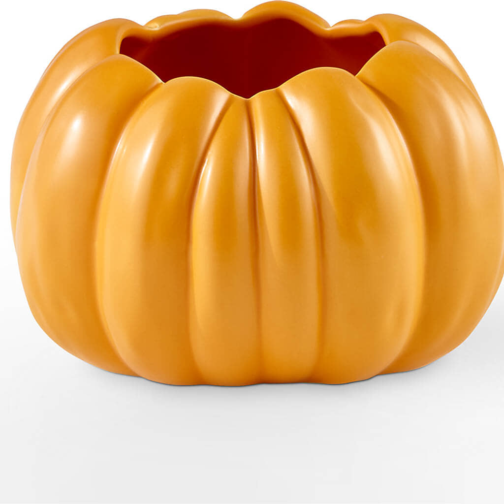 Golden Gourd Pumpkin Bouquet –  Deux Gars Des Fleurs, Sorel PQ