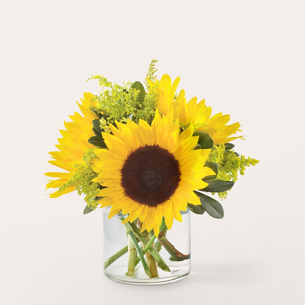 Bouquet de tournesols rayonnants