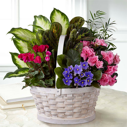 Peaceful Garden Planter –  Deux Gars Des Fleurs, Sorel PQ