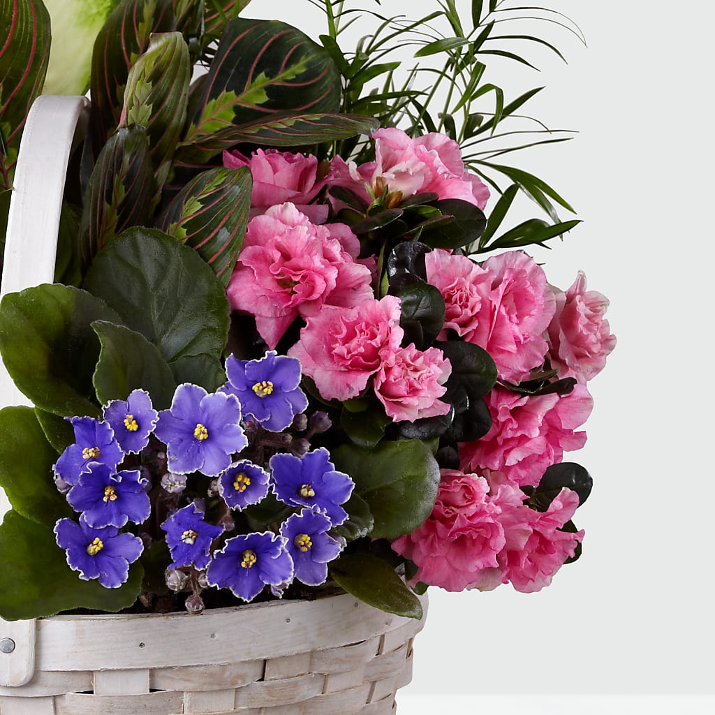 Peaceful Garden Planter –  Deux Gars Des Fleurs, Sorel PQ