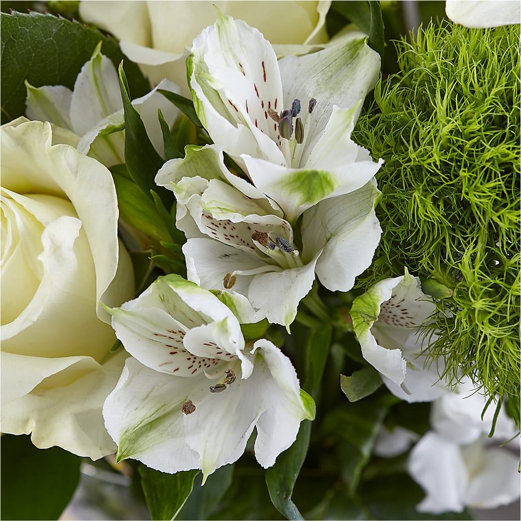 Classic Ivory – A Florist Original –  Deux Gars Des Fleurs, Sorel PQ