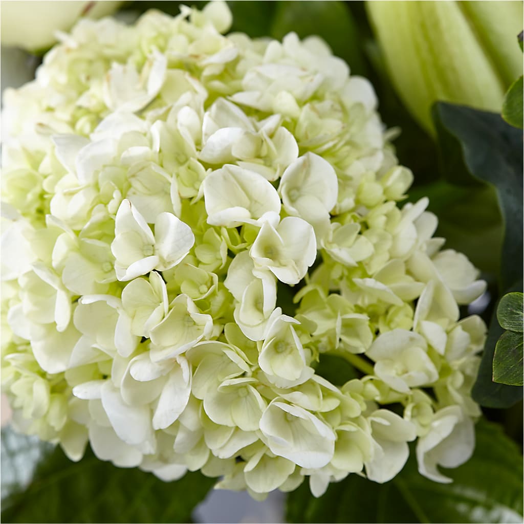 Classic Ivory – A Florist Original –  Deux Gars Des Fleurs, Sorel PQ