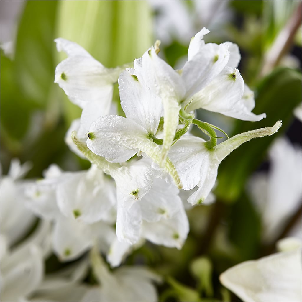 Classic Ivory – A Florist Original –  Deux Gars Des Fleurs, Sorel PQ