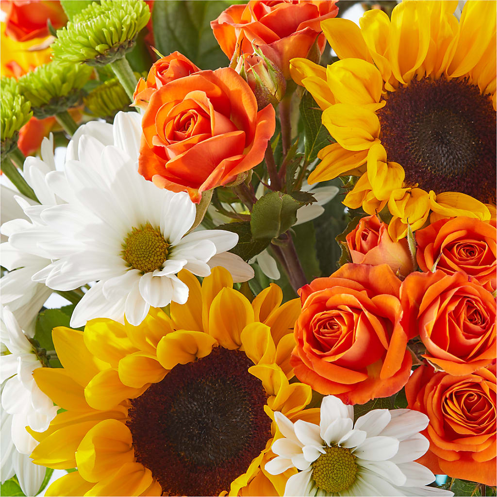 Sun-drenched Blooms Bouquet –  Deux Gars Des Fleurs, Sorel PQ