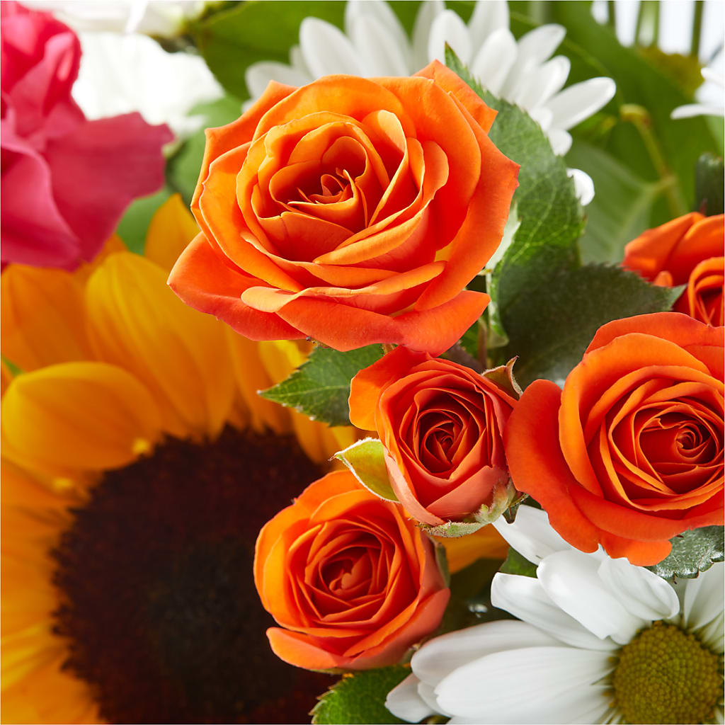 Sun-drenched Blooms Bouquet –  Deux Gars Des Fleurs, Sorel PQ