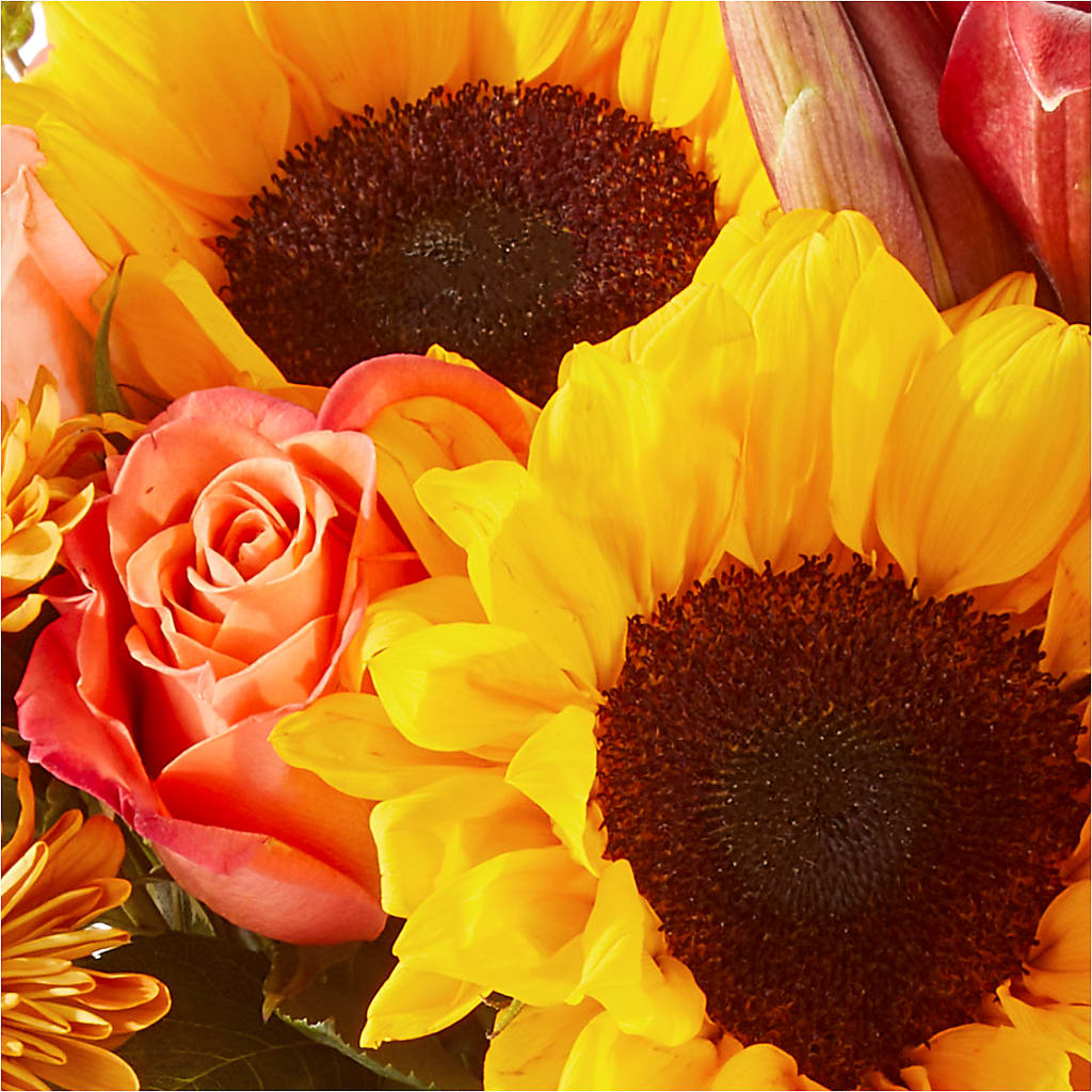 Acorn Lane Bouquet –  Deux Gars Des Fleurs, Sorel PQ