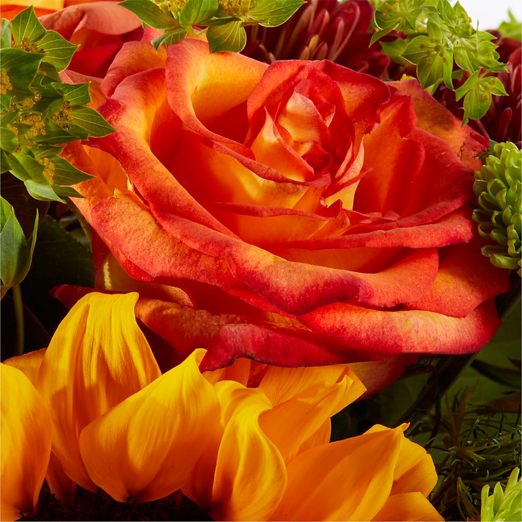Harvest Festival Bouquet –  Deux Gars Des Fleurs, Sorel PQ