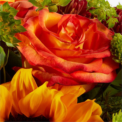 Harvest Festival Bouquet –  Deux Gars Des Fleurs, Sorel PQ