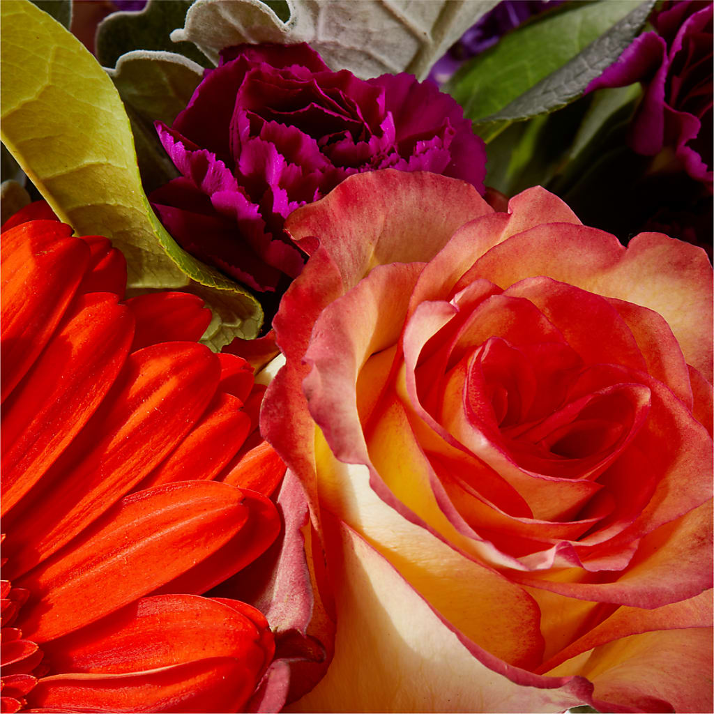 Sangria Bouquet –  Deux Gars Des Fleurs, Sorel PQ