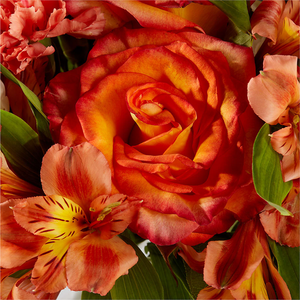 Apricot Glow Bouquet –  Deux Gars Des Fleurs, Sorel PQ