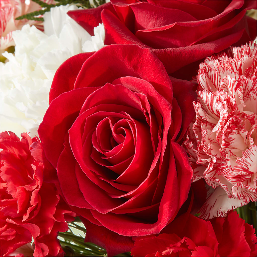 Candy Cane Lane Bouquet –  Deux Gars Des Fleurs, Sorel PQ