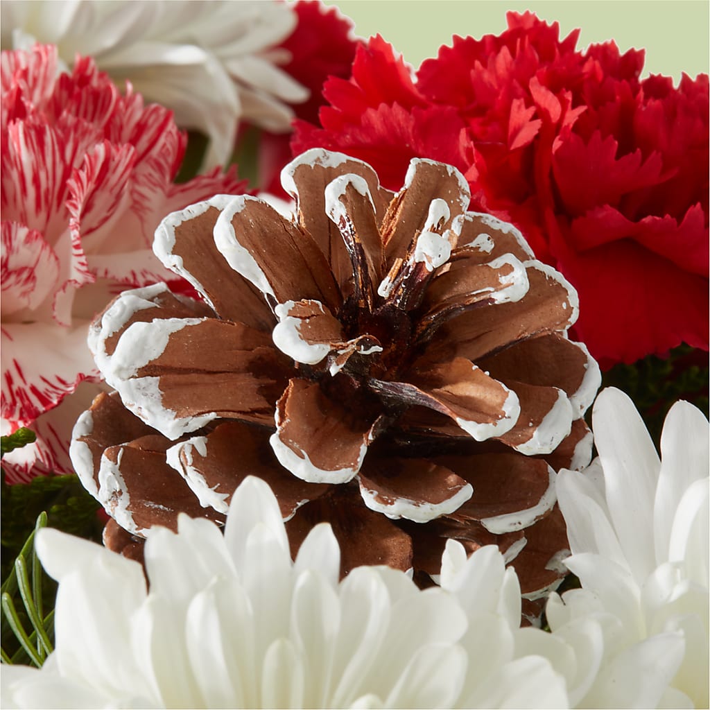 Candy Cane Lane Bouquet –  Deux Gars Des Fleurs, Sorel PQ