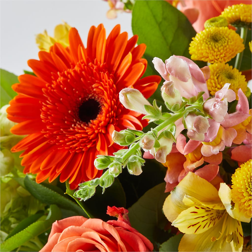 Autumn Sunshine Bouquet –  Deux Gars Des Fleurs, Sorel PQ