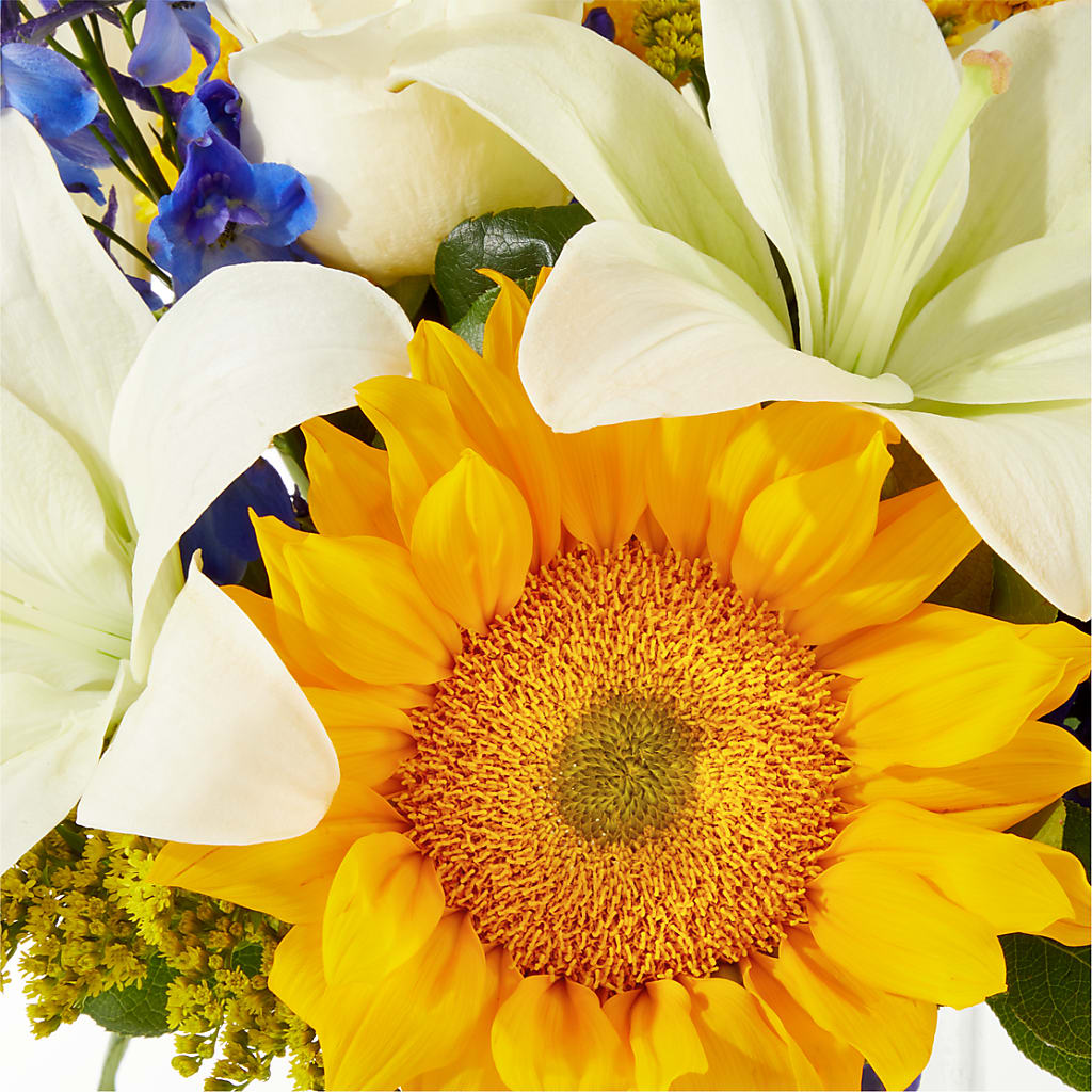 Stargazing Bouquet –  Deux Gars Des Fleurs, Sorel PQ