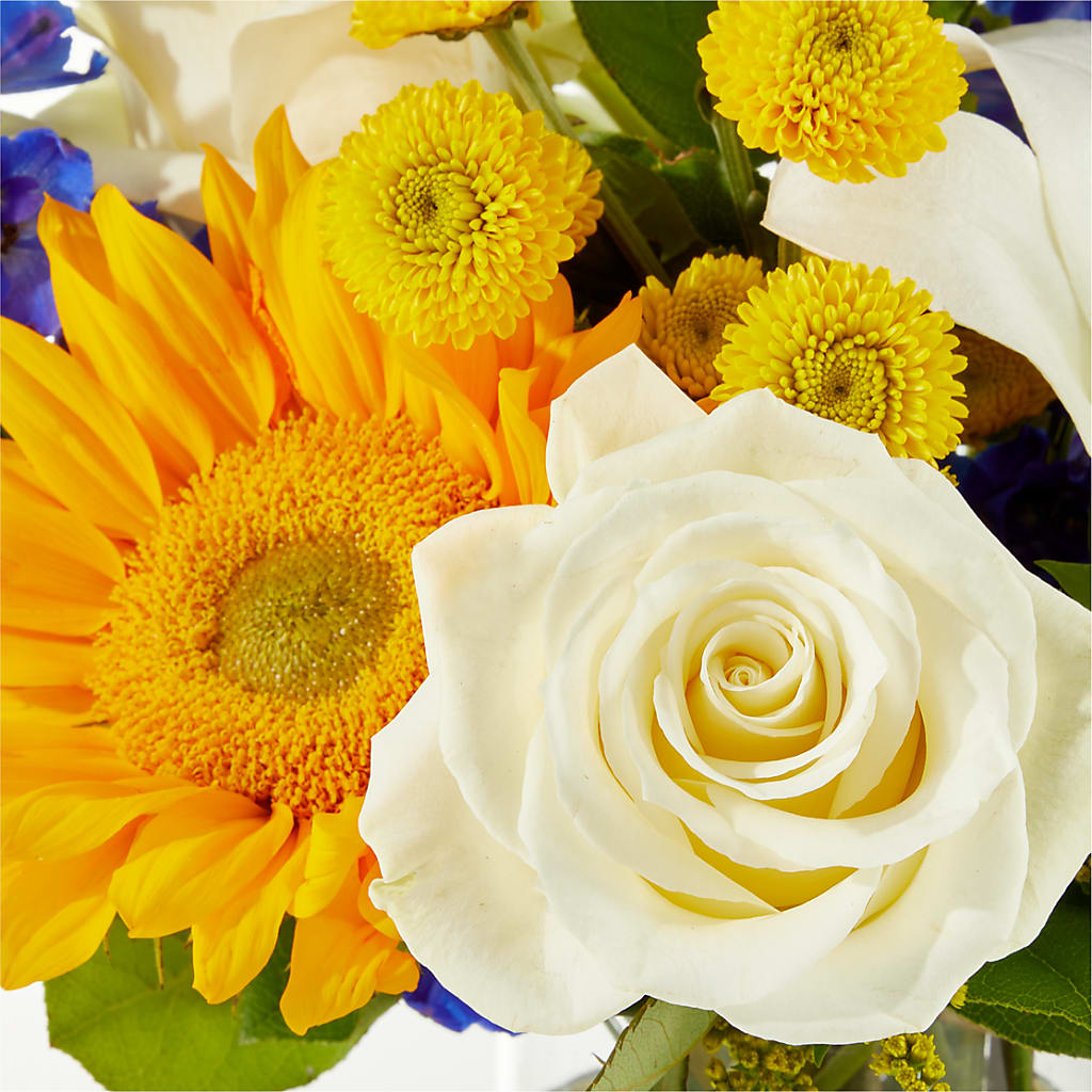 Stargazing Bouquet –  Deux Gars Des Fleurs, Sorel PQ