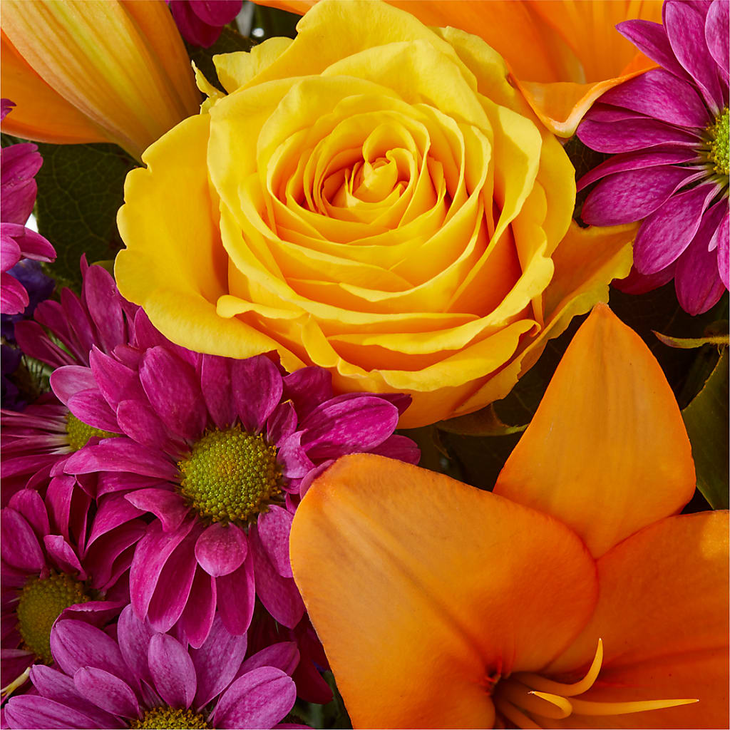 Colorful Visions Bouquet –  Deux Gars Des Fleurs, Sorel PQ