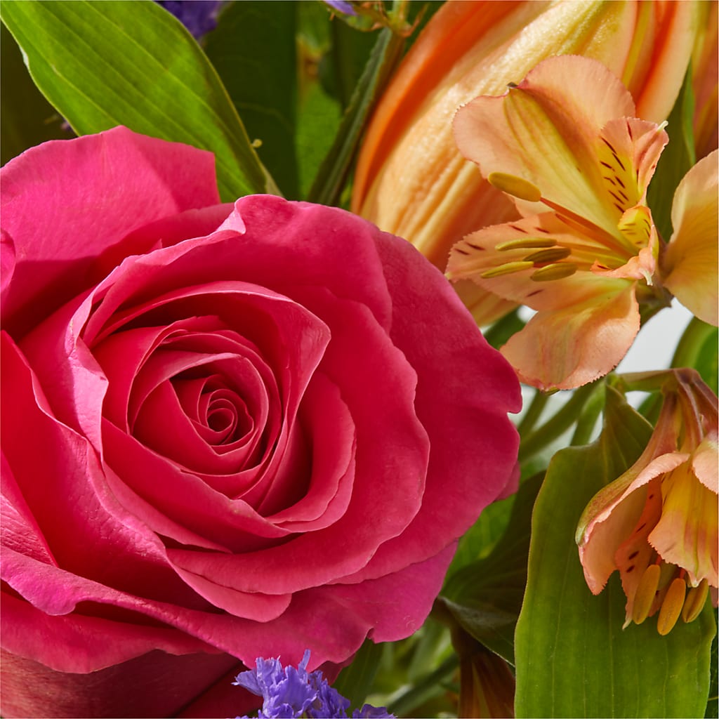 Joyful Bouquet –  Deux Gars Des Fleurs, Sorel PQ