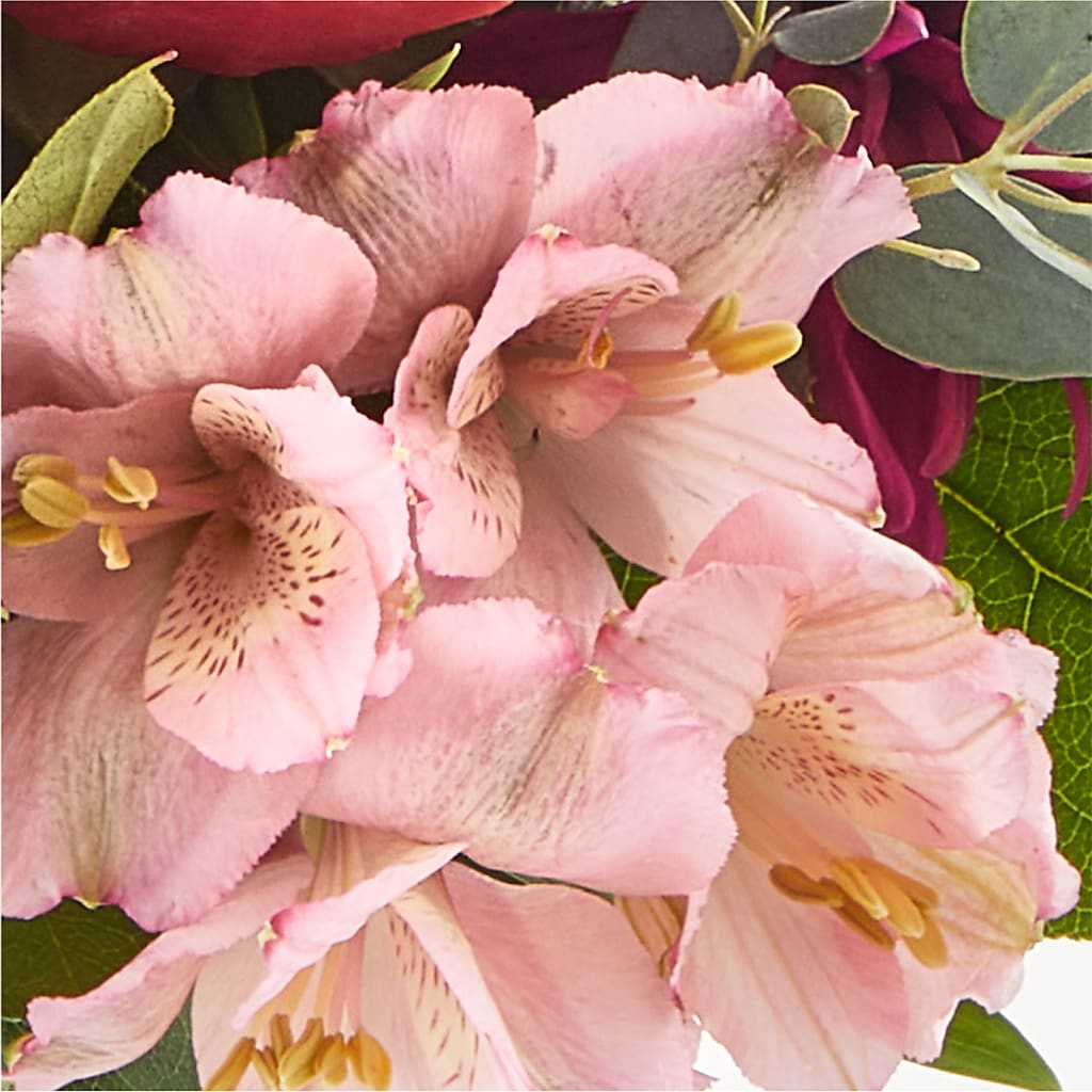 Berry Cobbler Bouquet –  Deux Gars Des Fleurs, Sorel PQ