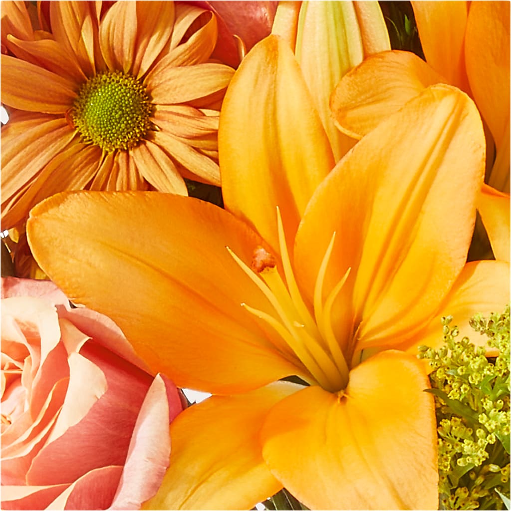 Harvest Hayride Bouquet –  Deux Gars Des Fleurs, Sorel PQ