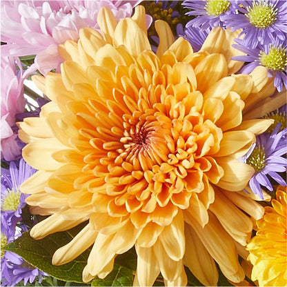 Countryside Bouquet –  Deux Gars Des Fleurs, Sorel PQ