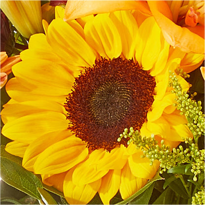 Seasons Change Bouquet –  Deux Gars Des Fleurs, Sorel PQ