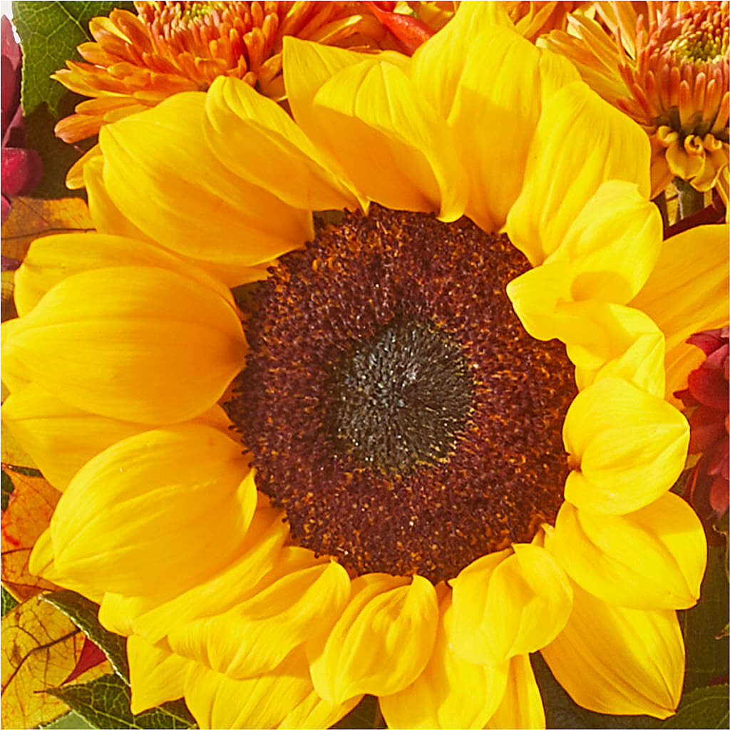Sunny Side Bouquet –  Deux Gars Des Fleurs, Sorel PQ