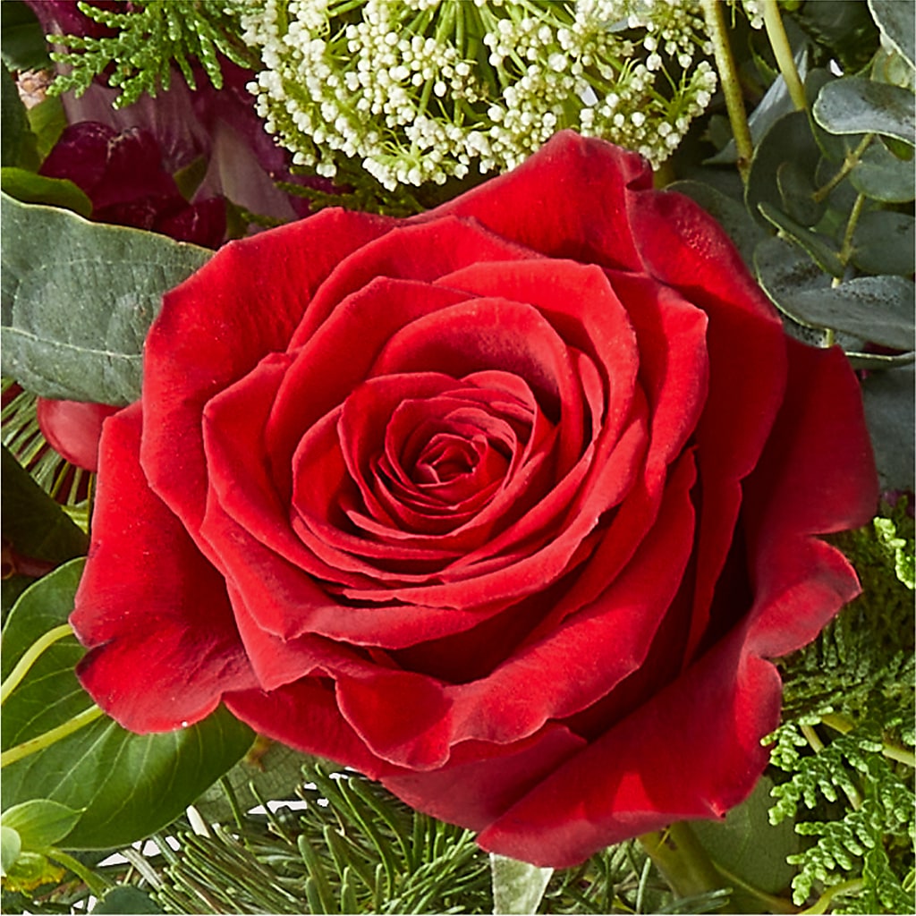 Cranberry Fizz Bouquet –  Deux Gars Des Fleurs, Sorel PQ