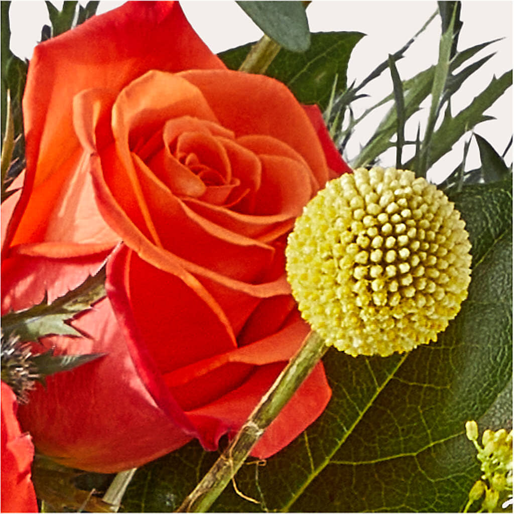 Disco Bouquet –  Deux Gars Des Fleurs, Sorel PQ