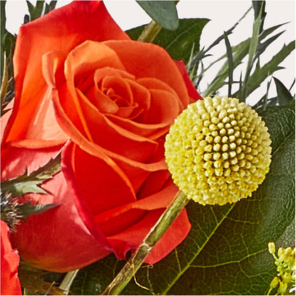 Disco Bouquet –  Deux Gars Des Fleurs, Sorel PQ