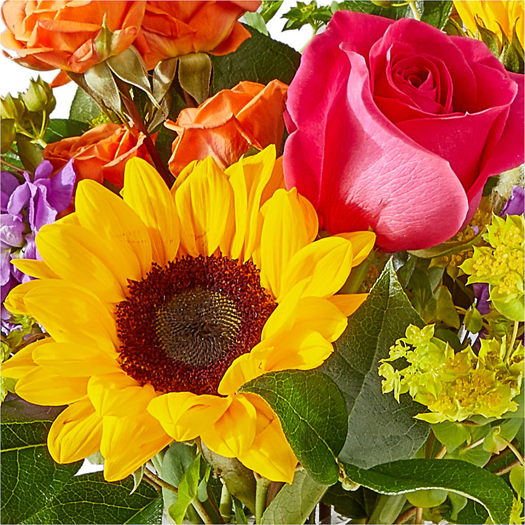 Vibrant Greetings Bouquet –  Deux Gars Des Fleurs, Sorel PQ