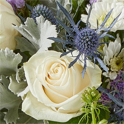 Shooting Star Bouquet –  Deux Gars Des Fleurs, Sorel PQ