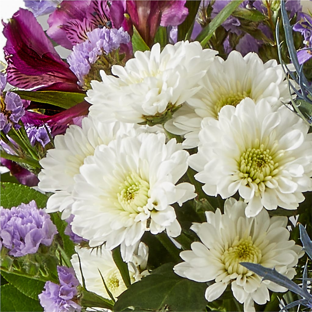 Shooting Star Bouquet –  Deux Gars Des Fleurs, Sorel PQ