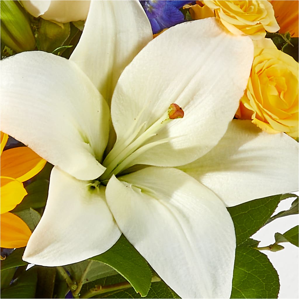 Wonderfully Sunny Bouquet –  Deux Gars Des Fleurs, Sorel PQ