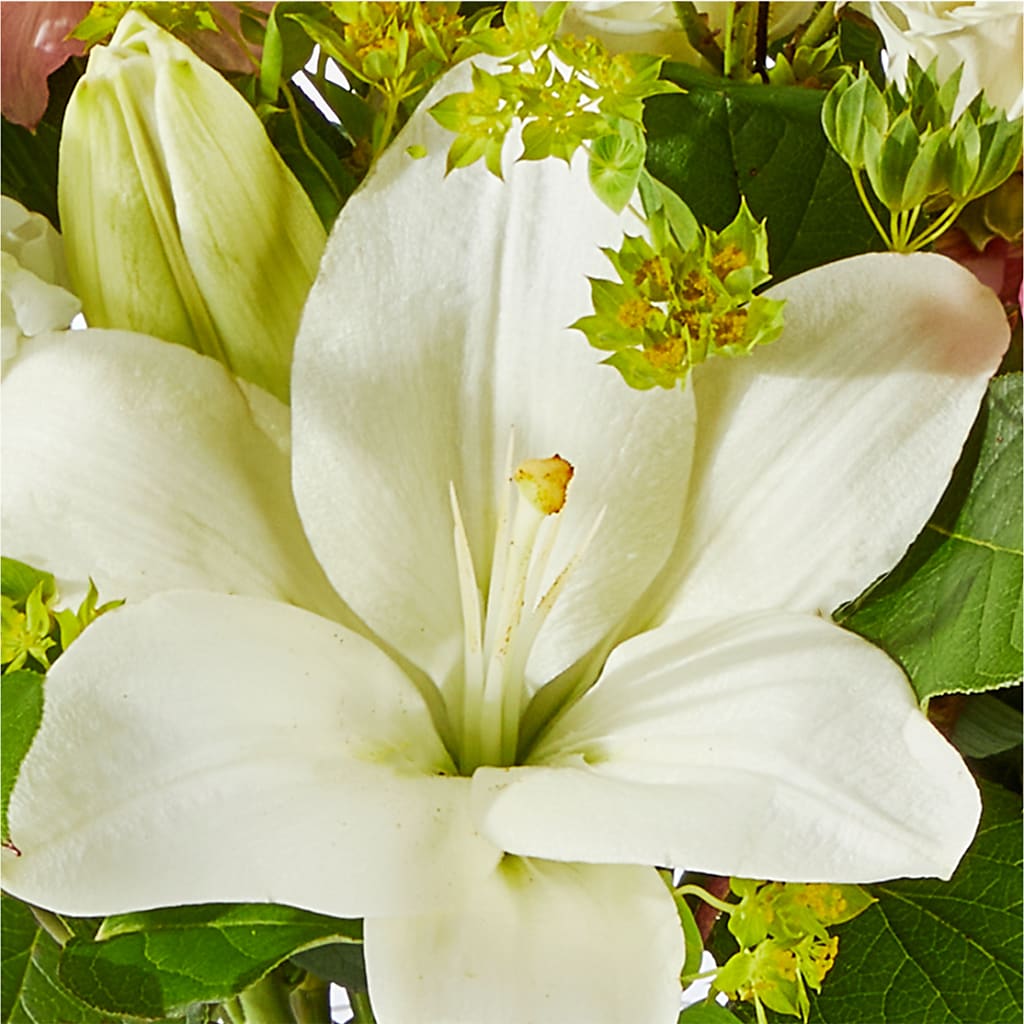 Fondly Bouquet –  Deux Gars Des Fleurs, Sorel PQ