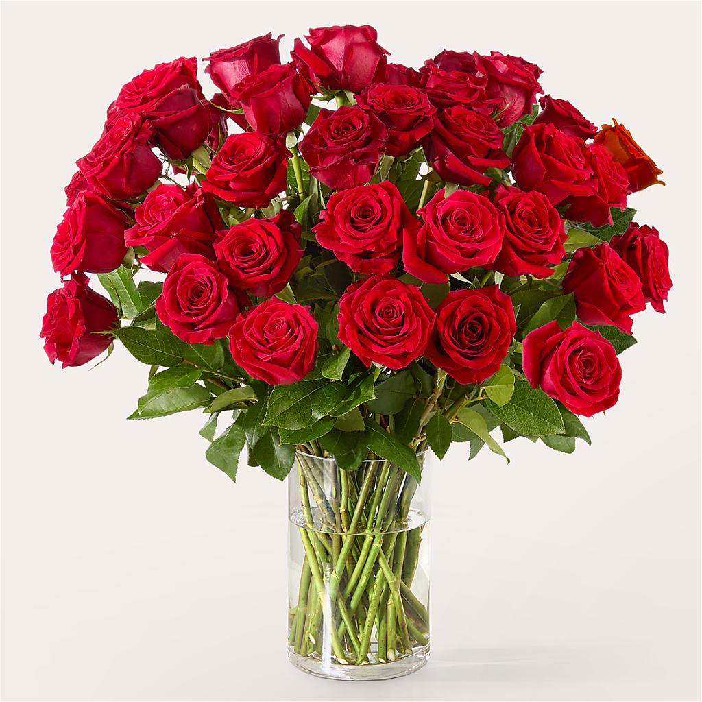 The One Red Rose Bouquet –  Deux Gars Des Fleurs, Sorel PQ