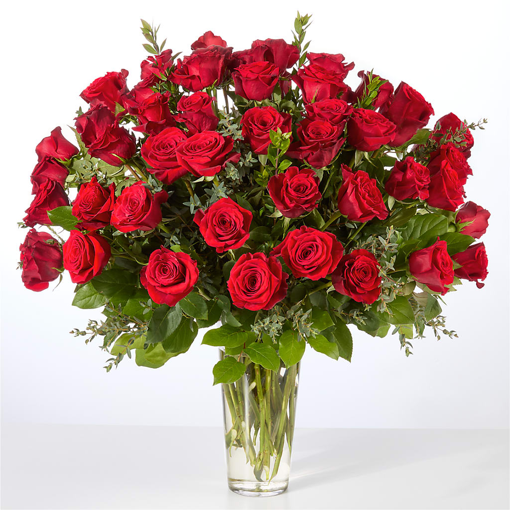 Forever Yours Fifty Stem Red Rose Bouquet –  Deux Gars Des Fleurs, Sorel PQ