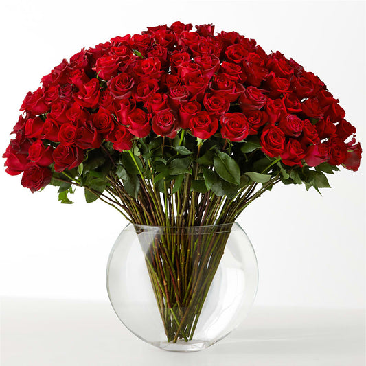 The Idealist –  Deux Gars Des Fleurs, Sorel PQ