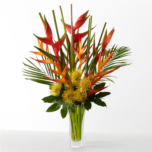 The Drama –  Deux Gars Des Fleurs, Sorel PQ