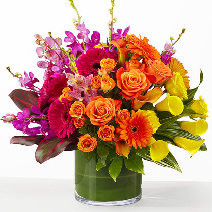 The Mosaic –  Deux Gars Des Fleurs, Sorel PQ