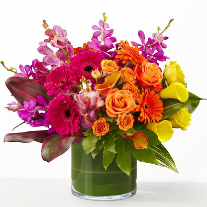 The Mosaic –  Deux Gars Des Fleurs, Sorel PQ